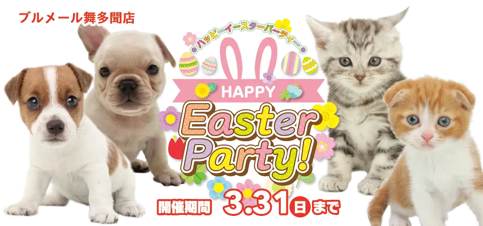 【Happy Easter Party 開催!! 】兵庫県 ワンラブ ブルメール舞多聞店 イベント開催！ 3/16～3/31まで