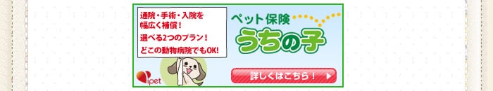 ご存知ですか？ペットのための医療保険