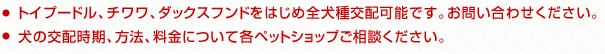 トイプードル、チワワ、ダックスフンドをはじめ全犬種交配可能です。お問い合わせください。犬の交配時期、方法、料金について各ペットショップご相談ください。