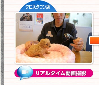クロスタウン店 リアルタイム動画撮影