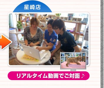 星崎店 リアルタイム動画でご対面♪