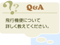 飛行機便について詳しく教えてください。