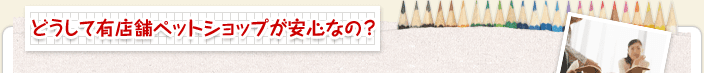 どうして有店舗ペットショップが安心なの?