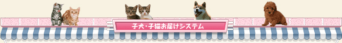 子犬・子猫お届けシステム