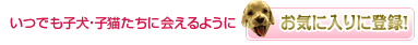 お気に入りに登録