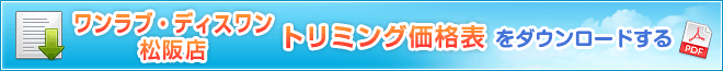PDFダウンロード