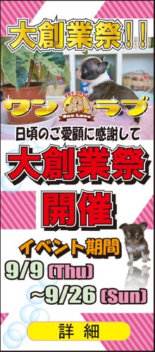 大創業祭