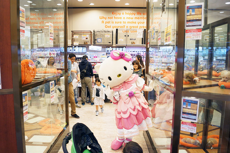 ペットショップワンラブ アリオ川口店 ハローキティ来店イベント