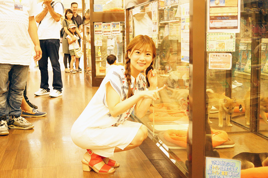 ペットショップワンラブ アリオ上田店 重盛さと美さん来店イベント
