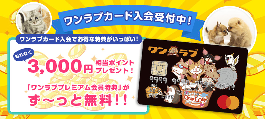 ワンラブカード申込受付開始