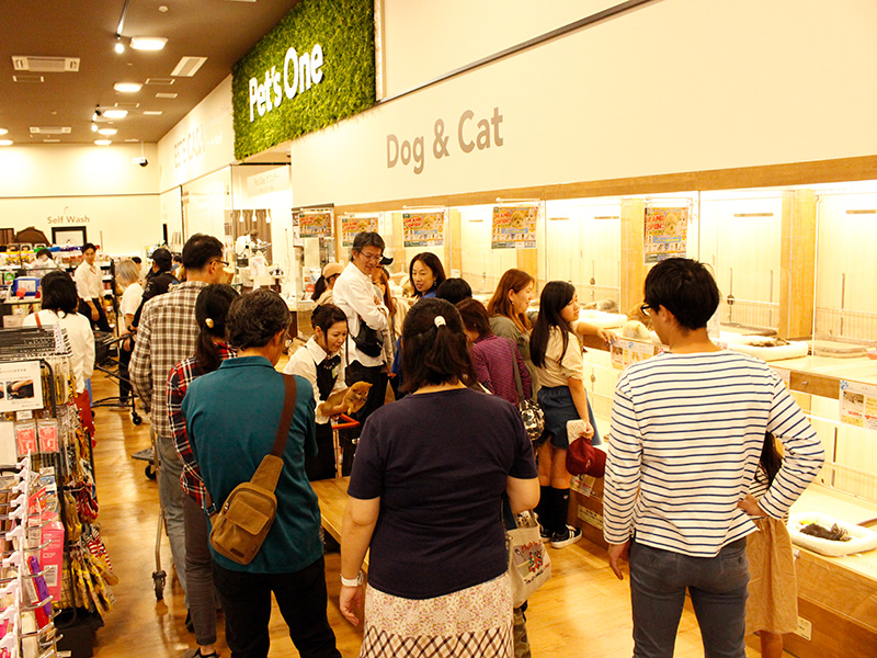 カインズ浜松市野店ペッツワンコーナー