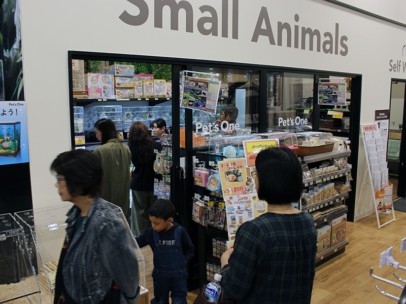 カインズ浜松市野店小動物コーナー
