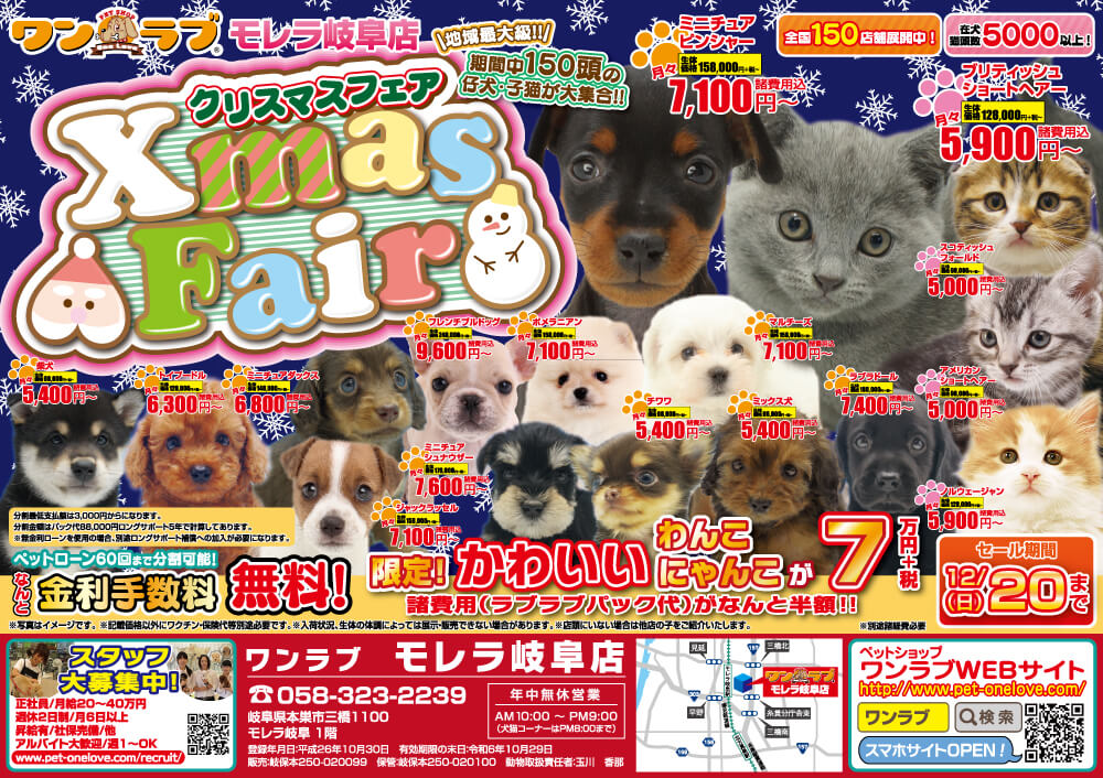 ペットショップワンラブ モレラ岐阜店クリスマスフェアチラシ表面