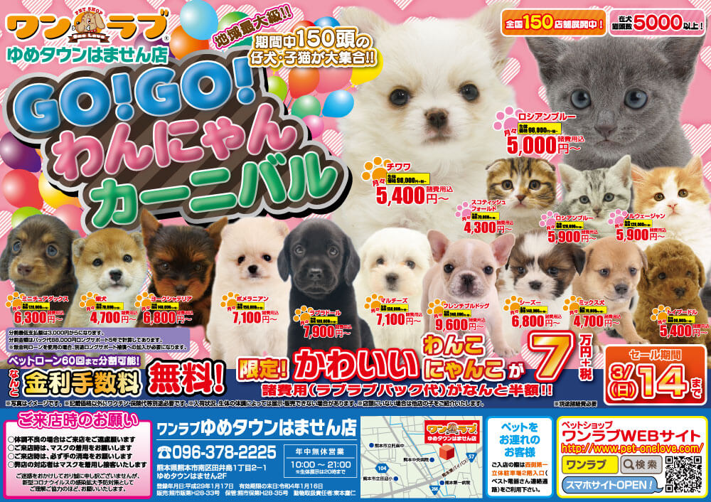 20210227-ペットショップワンラブ ゆめタウンはません店チラシ