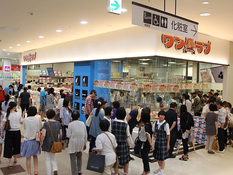 Go Go わんにゃんカーニバル開催 山口県 おのだサンパーク店にてgogoわんにゃんカーニバル開催中 2 3 7まで ワンラブグループ ペットショップのワンラブ 写真と動画でご紹介