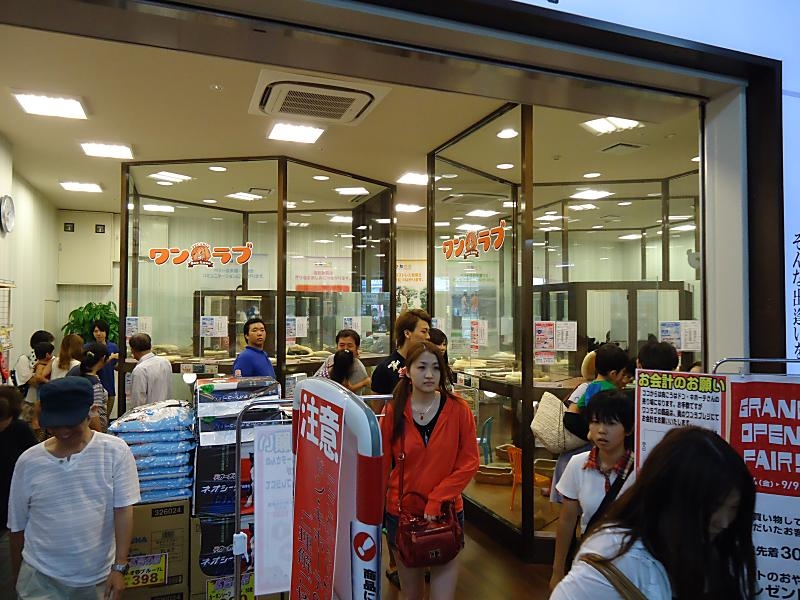 ペットショップワンラブ MEGA ドン・キホーテ瑞穂店