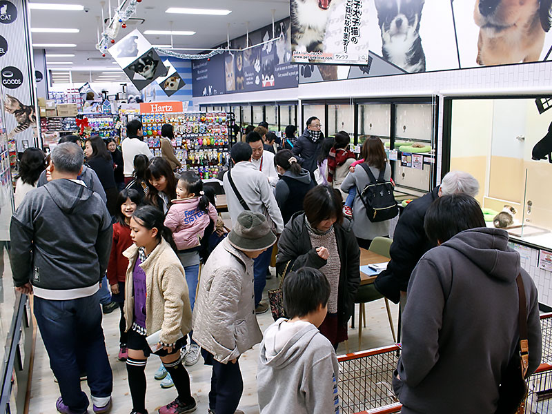 ペットショップワンラブ ゆめタウン武雄店
