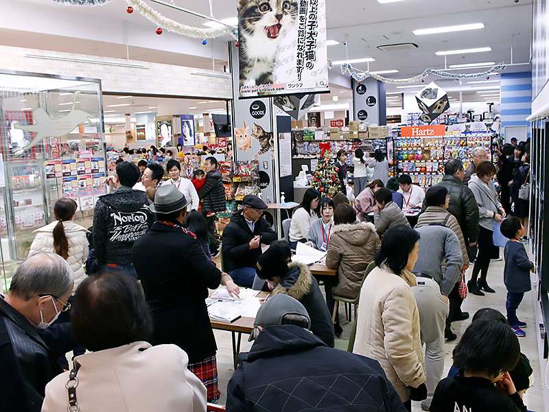 ペットショップワンラブ ゆめタウン武雄店