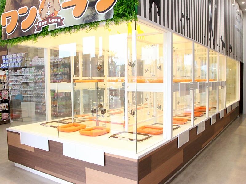 ペットショップワンラブ ゆめタウン久留米店