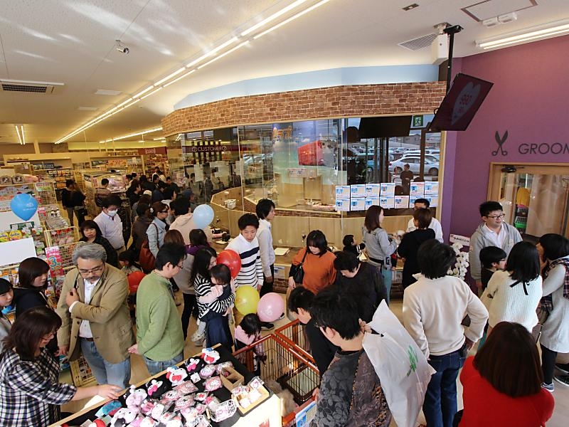 ワンラブ コピオ相模原インター店