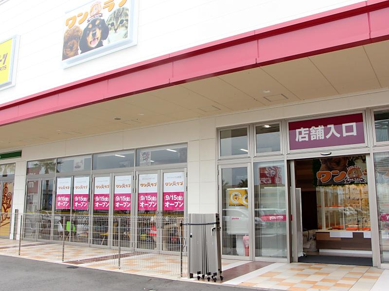 ペットショップワンラブ ゆめタウン久留米店