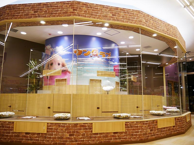 ワンラブ コピオ相模原インター店