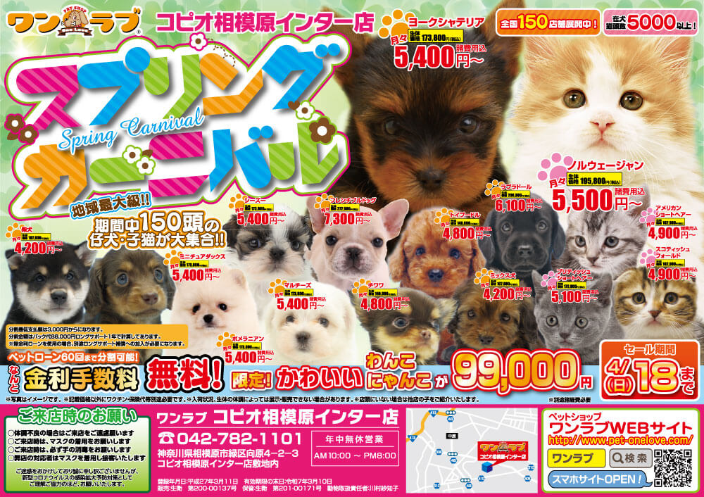 20210403-ペットショップワンラブコピオ相模原インター店チラシ