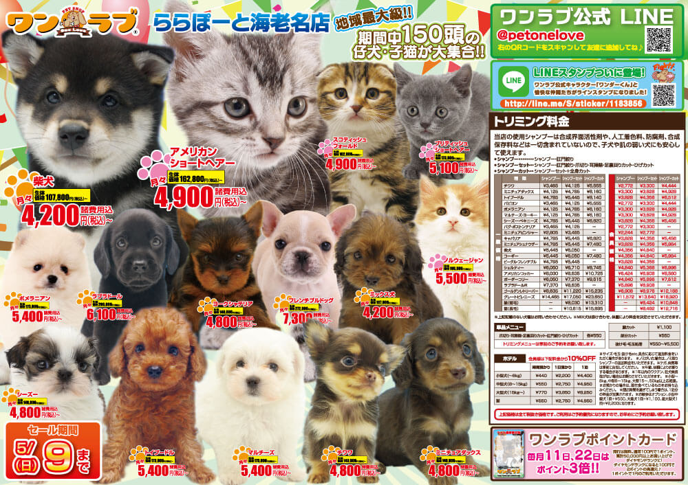 20210424-ペットショップワンラブ ららぽーと海老名店チラシ