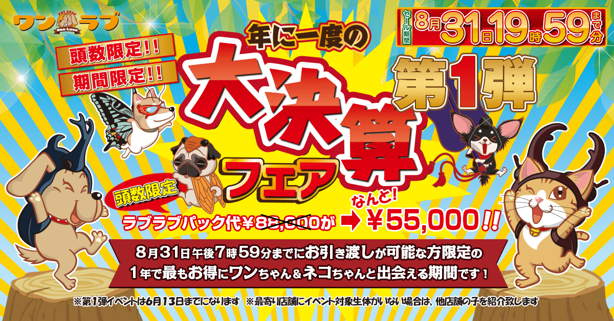 ペットショップワンラブ 2021年大決算フェア第一弾開催