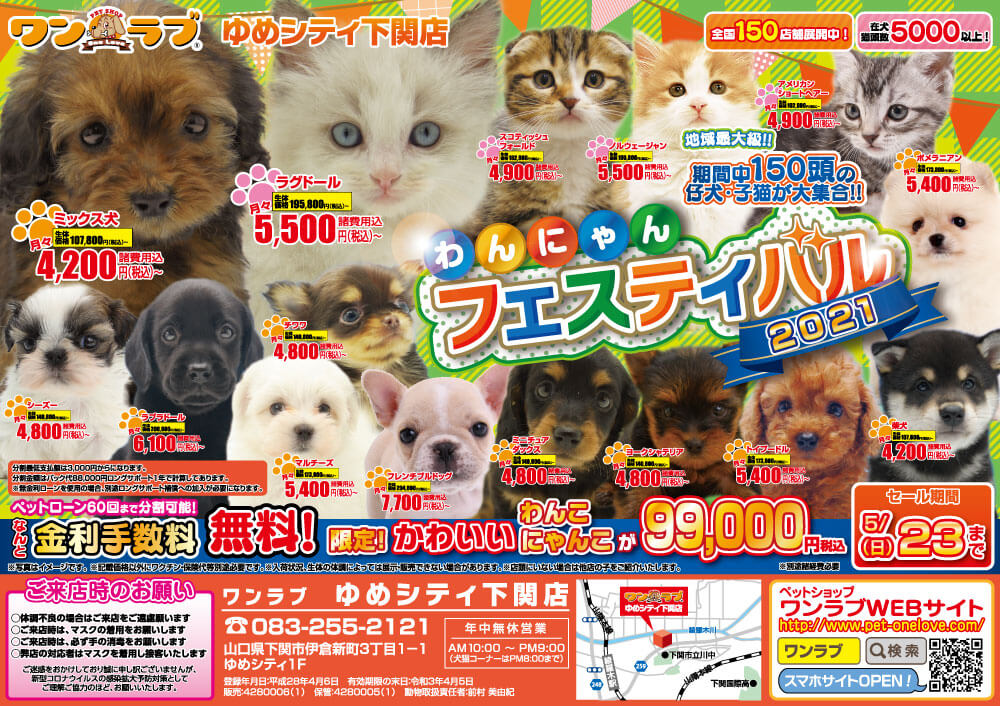 20210508-ペットショップワンラブ ゆめシティ店チラシ