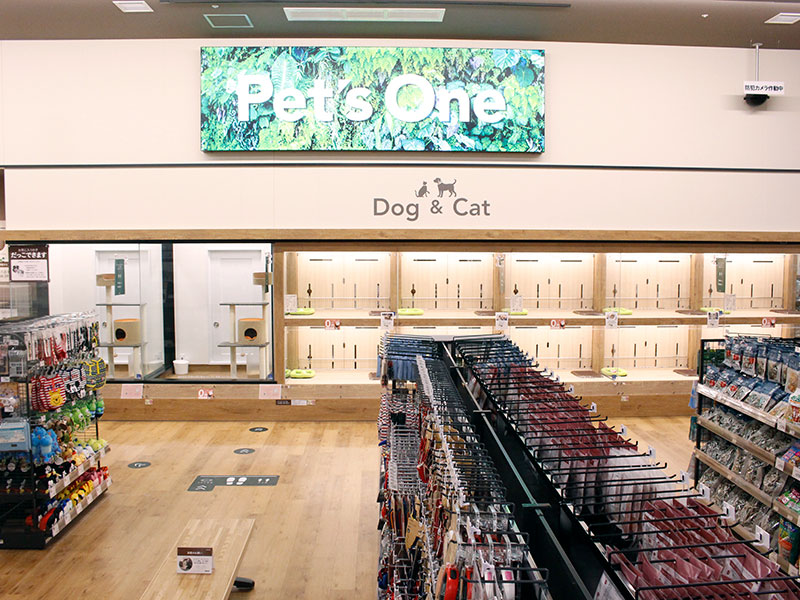 カインズ八王子長房店