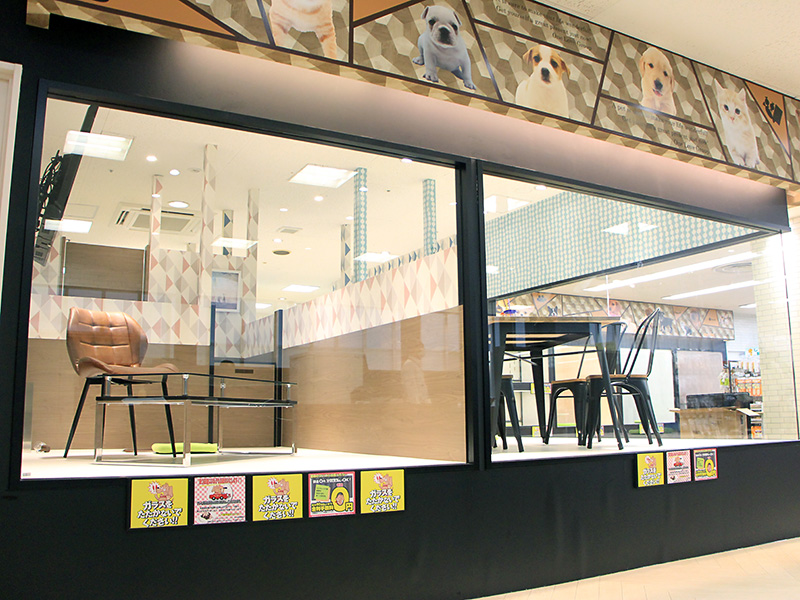 ペットショップワンラブ イオンモール日根野店