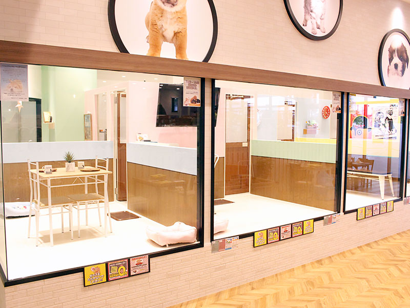 ペットショップワンラブ ヨシヅヤ名古屋名西店