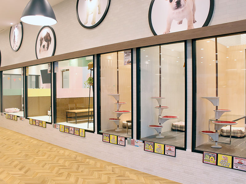 ペットショップワンラブ ヨシヅヤ名古屋名西店