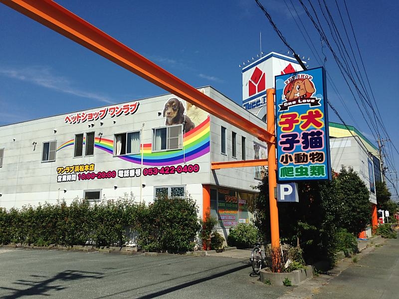 ペットショップワンラブ 浜松本店