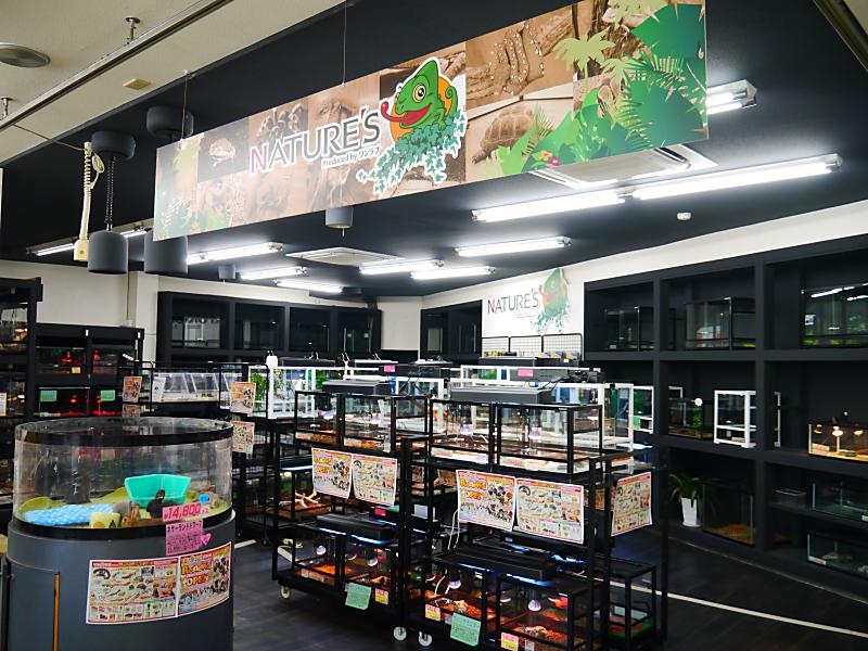 ペットショップワンラブ 浜松本店