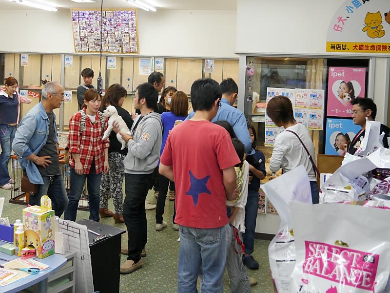 ペットショップワンラブ 浜松本店