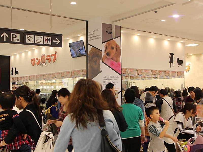 ペットショップワンラブ イオンタウン宇多津店