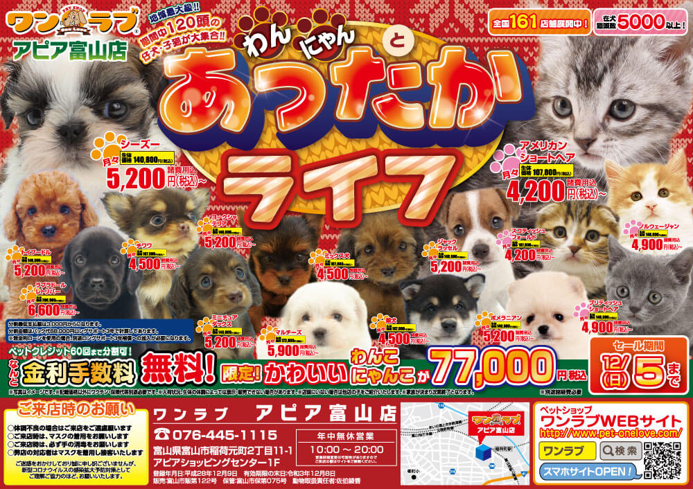 わんにゃんとあったかライフイベント開催 富山県 ワンラブ アピア富山店 セール開催 11 12 5まで ワンラブグループ ペットショップのワンラブ 写真と動画でご紹介 わんにゃんとあったかライフイベント開催 富山県 ワンラブ アピア富山店 セール開催 11 12 5まで ワンラブグループ ペットショップのワンラブ 写真と動画でご紹介