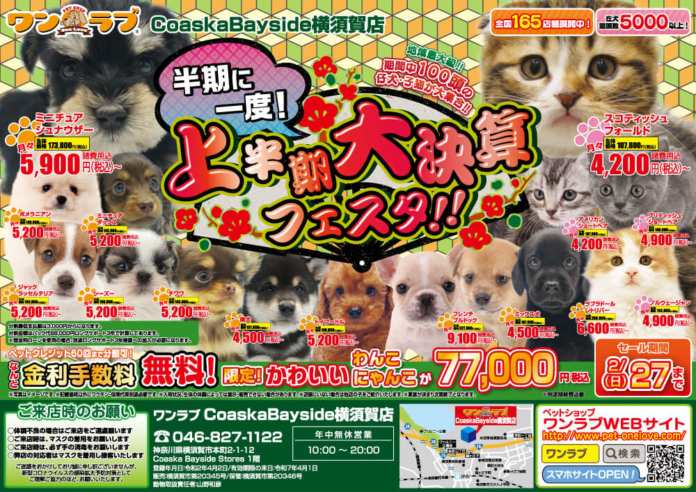20220212-ペットショップワンラブ コースカベイサイド横須賀店チラシ