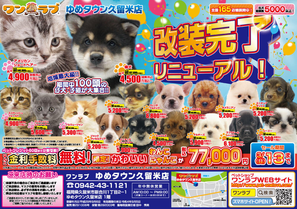 20220226-ペットショップワンラブ ゆめタウン久留米店チラシ