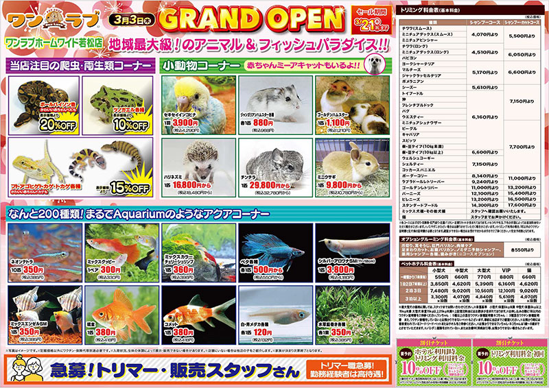 20220303-ペットショップワンラブ ホームワイド若松店チラシ