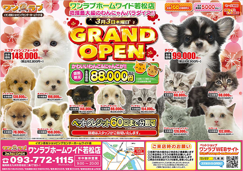 祝！グランドオープン！！】福岡県 ワンラブ ホームワイド若松店