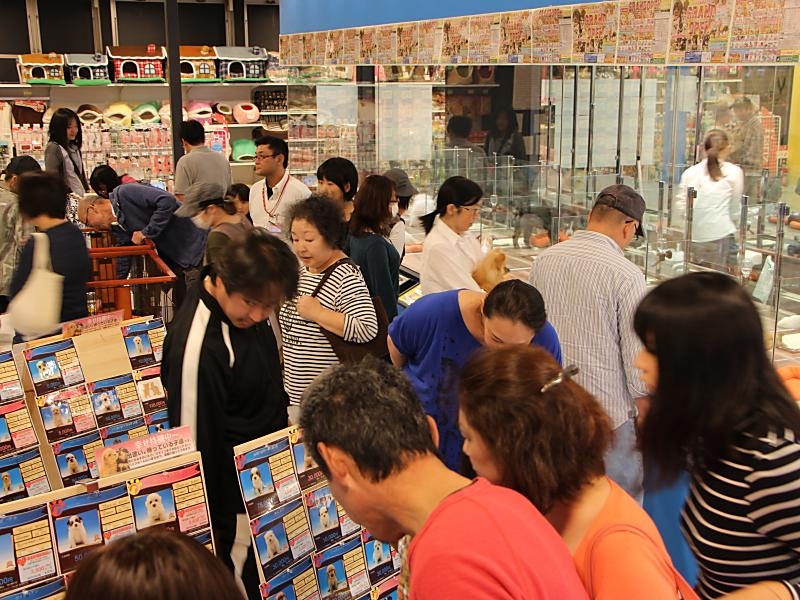 ペットショップワンラブ フレスポ赤道店