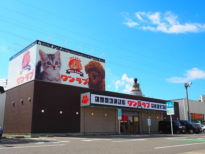 ペットショップワンラブ フレスポ赤道店