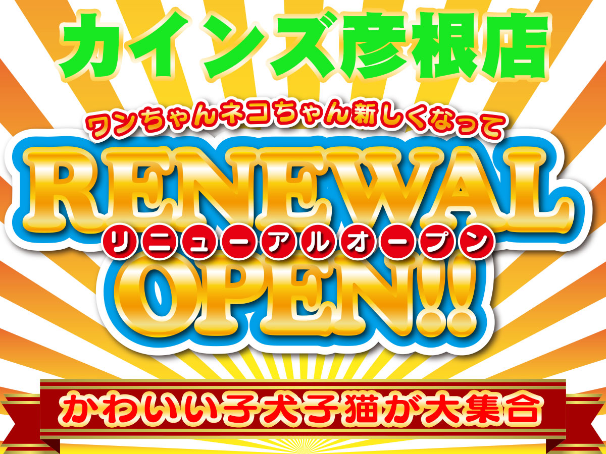 ペットショップワンラブ カインズ彦根店リニューアルオープン