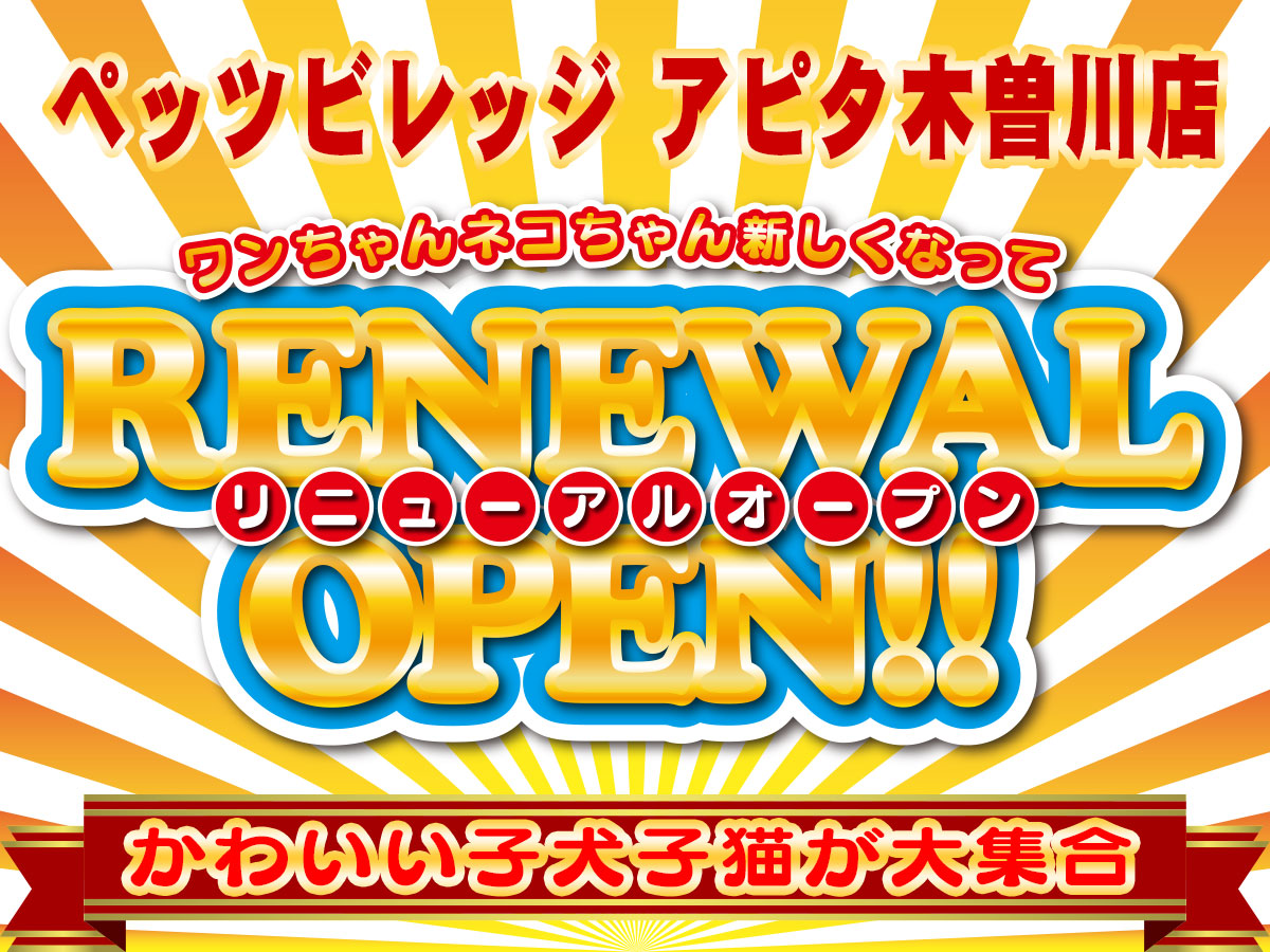20220325-ワンラブ ペッツビレッジ アピタ木曽川店リニューアルオープン
