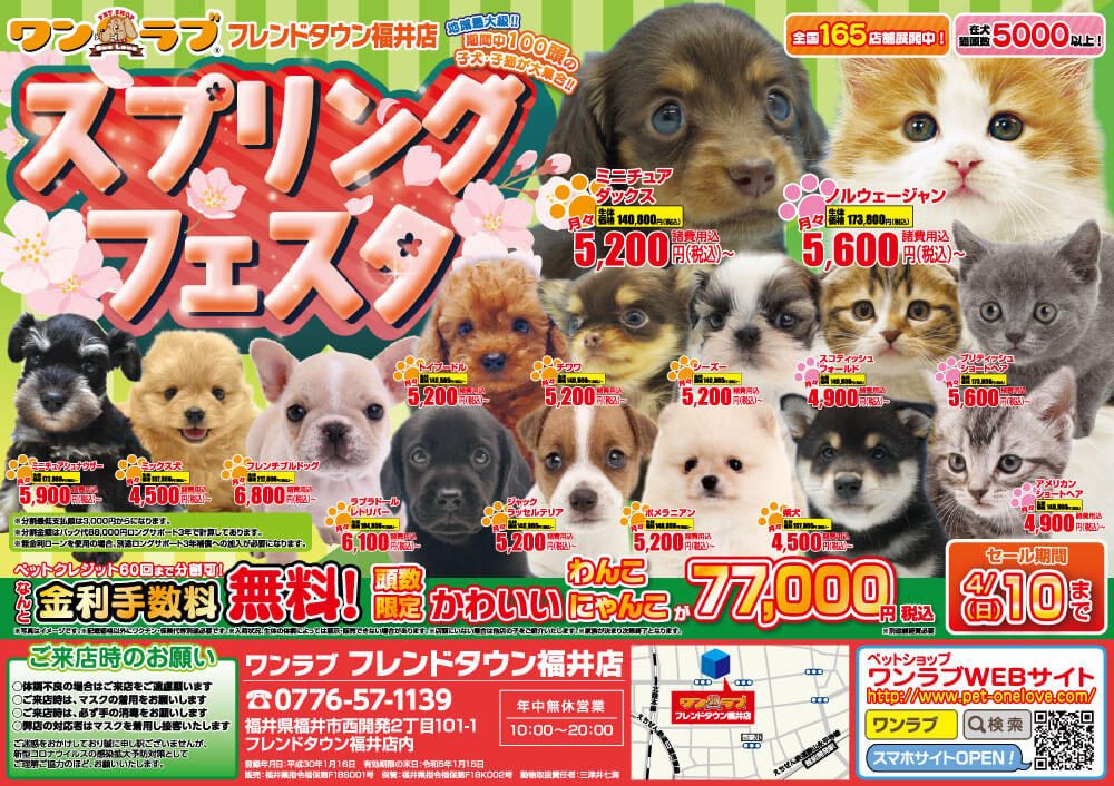20220326-ペットショップワンラブ フレンドタウン福井店チラシ