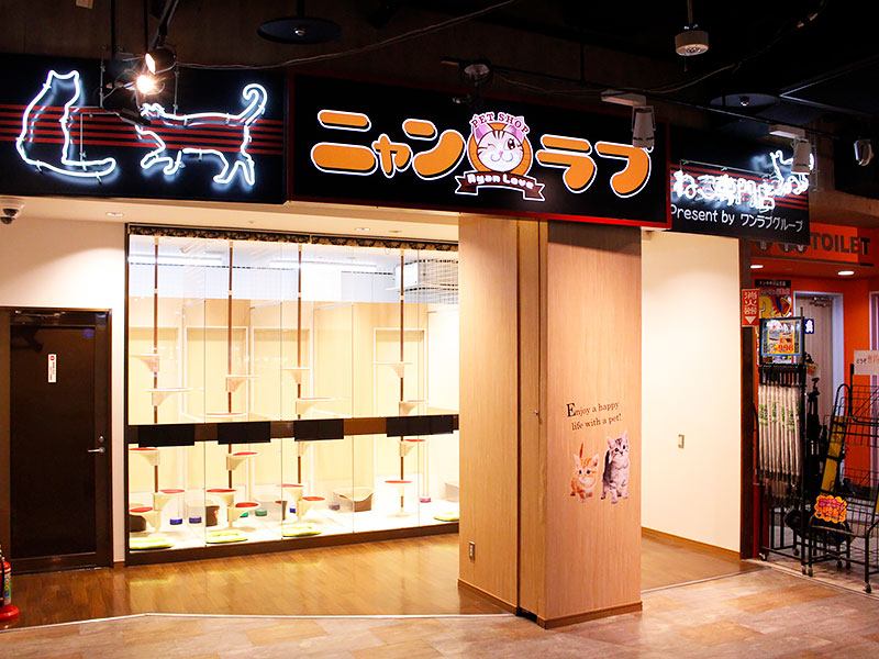 ワンラブ ドン・キホーテ パウ中川山王店