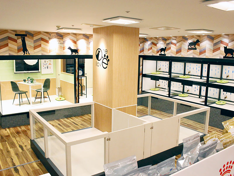 ワンラブ ドン・キホーテ パウ中川山王店